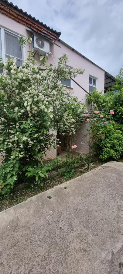 Guest House Mushmula New Athos 外观 照片